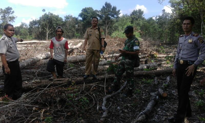 KAPOLSEK BABAT TOMAN TEMUKAN LAHAN SIAP BAKAR